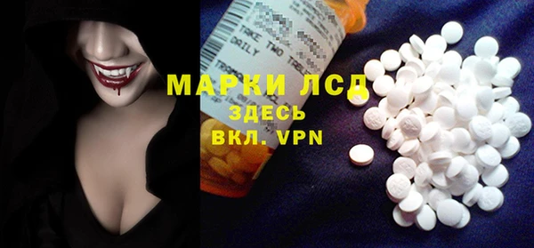 индика Верхний Тагил