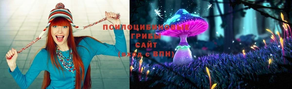индика Верхний Тагил