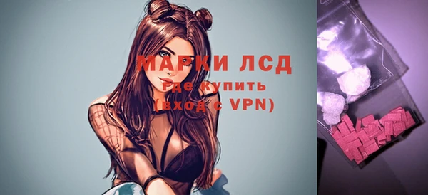 индика Верхний Тагил