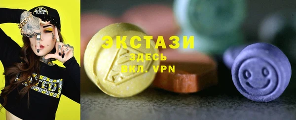 индика Верхний Тагил