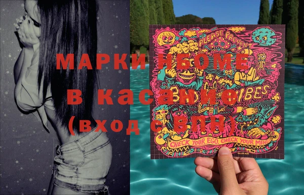 индика Верхний Тагил