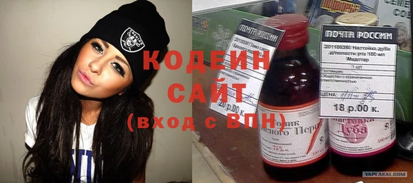 индика Верхний Тагил
