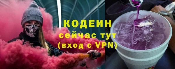 индика Верхний Тагил