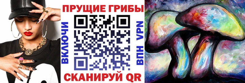 Галлюциногенные грибы Psilocybine cubensis  Фёдоровский 